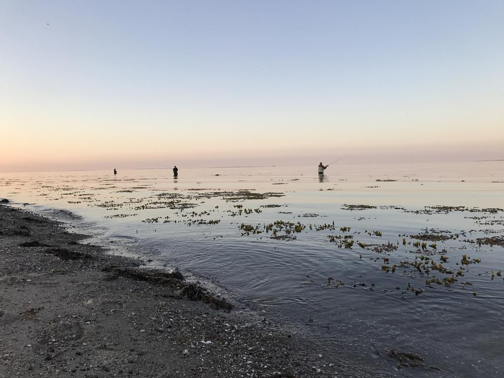 Hygge Strand Camping Odder Dış mekan fotoğraf